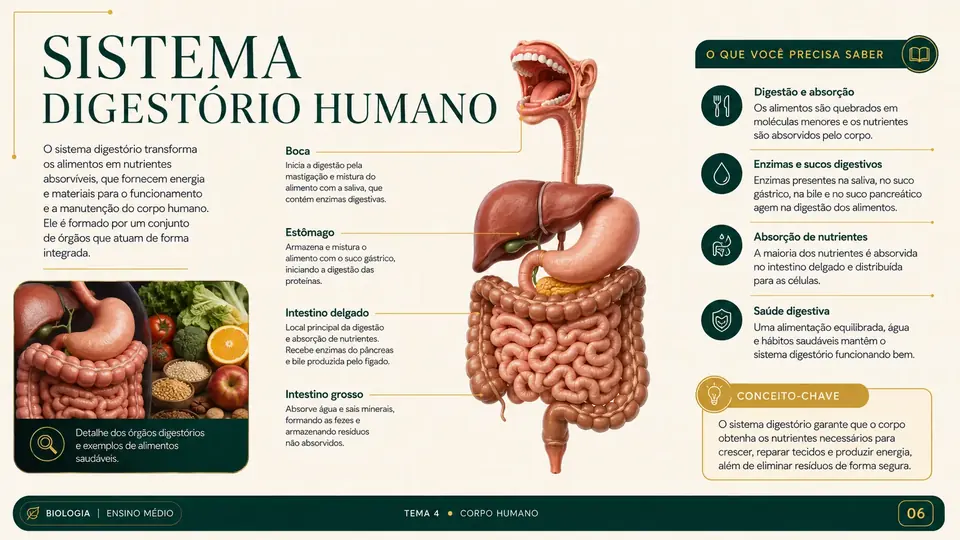 Slide pronto de Biologia 4